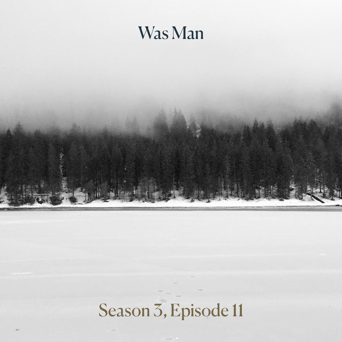 Cover image for Season 3, Episode 11 - a snowy lake and forest, with clouds